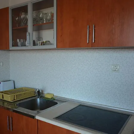 Guest house Dora *